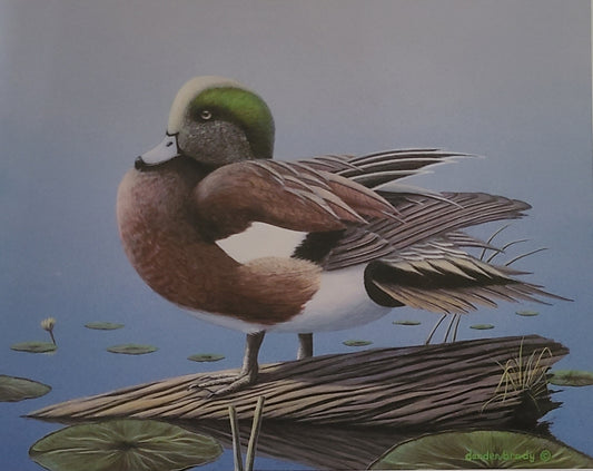 "In His Prime" -  Size: 8-1/2"x 10-1/2" - Free Shipping!