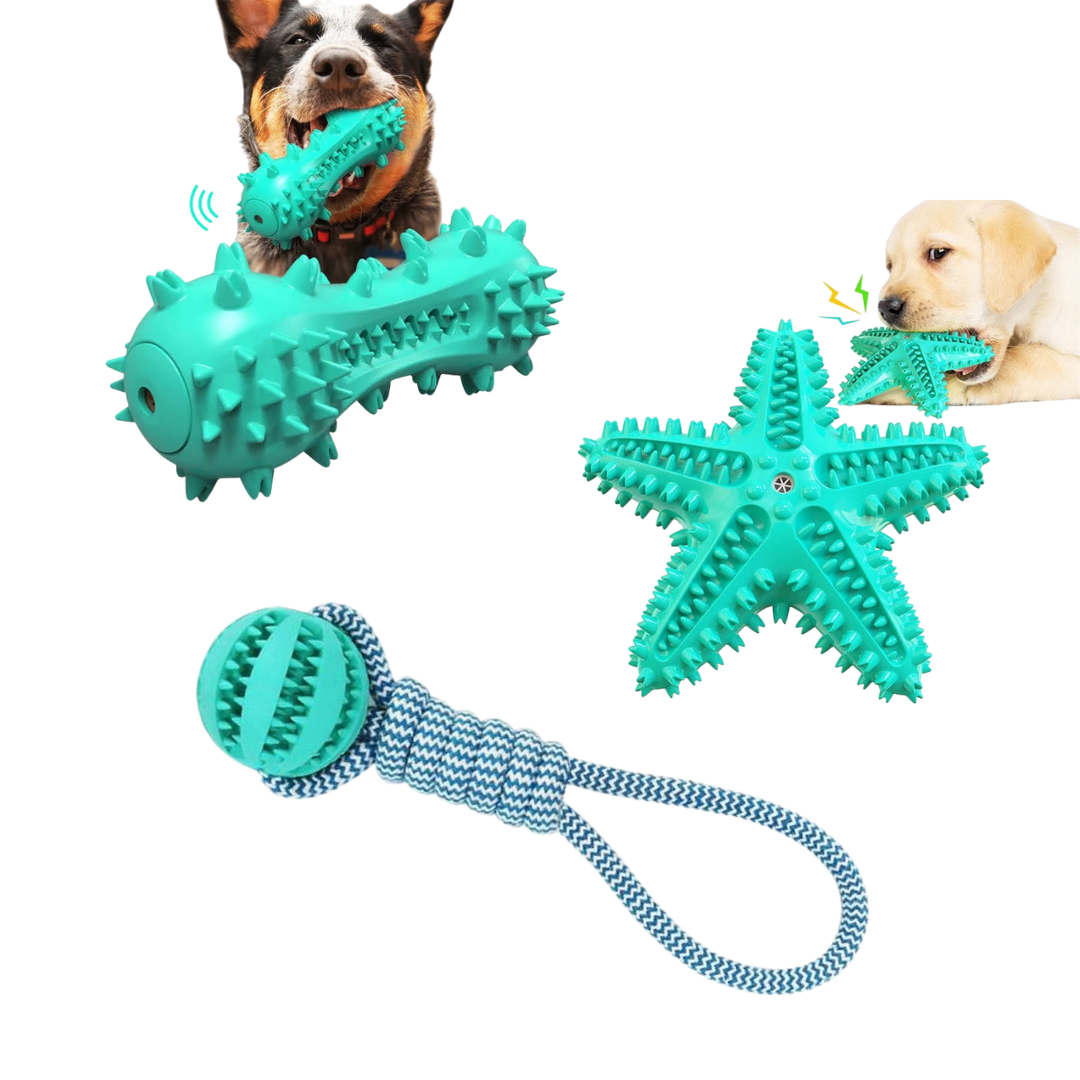 3 Pack Squeaky Toothbrush & Cotton Rope Ball Dog Toys - FREE SHIPPING!