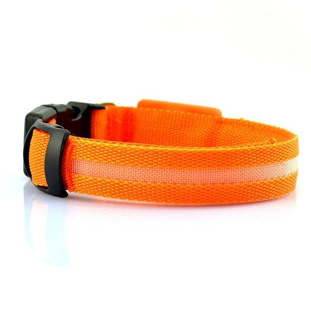 USB RECHARGEABLE LED PET DOG COLLAR. FREE SHIPPING!!