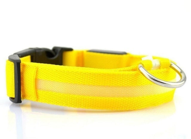 USB RECHARGEABLE LED PET DOG COLLAR. FREE SHIPPING!!
