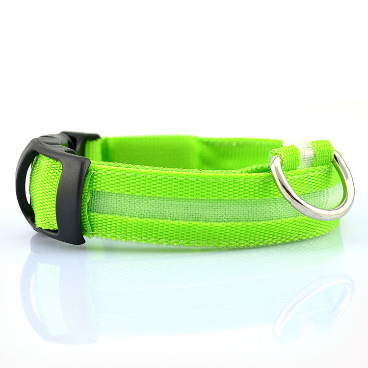 USB RECHARGEABLE LED PET DOG COLLAR. FREE SHIPPING!!